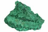 Silky Fibrous Malachite Cluster - Congo #138547-1